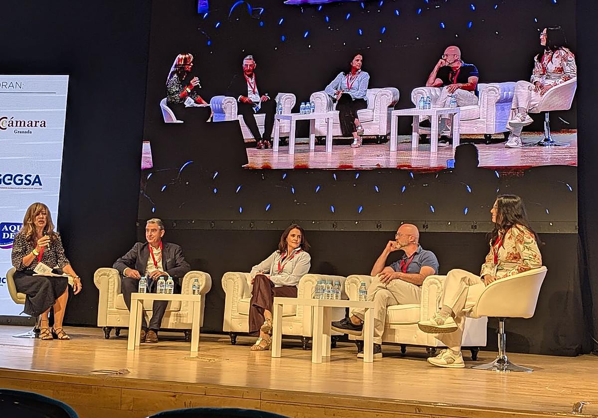 Panel de inversión en salud. (Elena Balboa)
